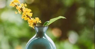 深秋桂花香，酥薄月飄香不僅在中秋