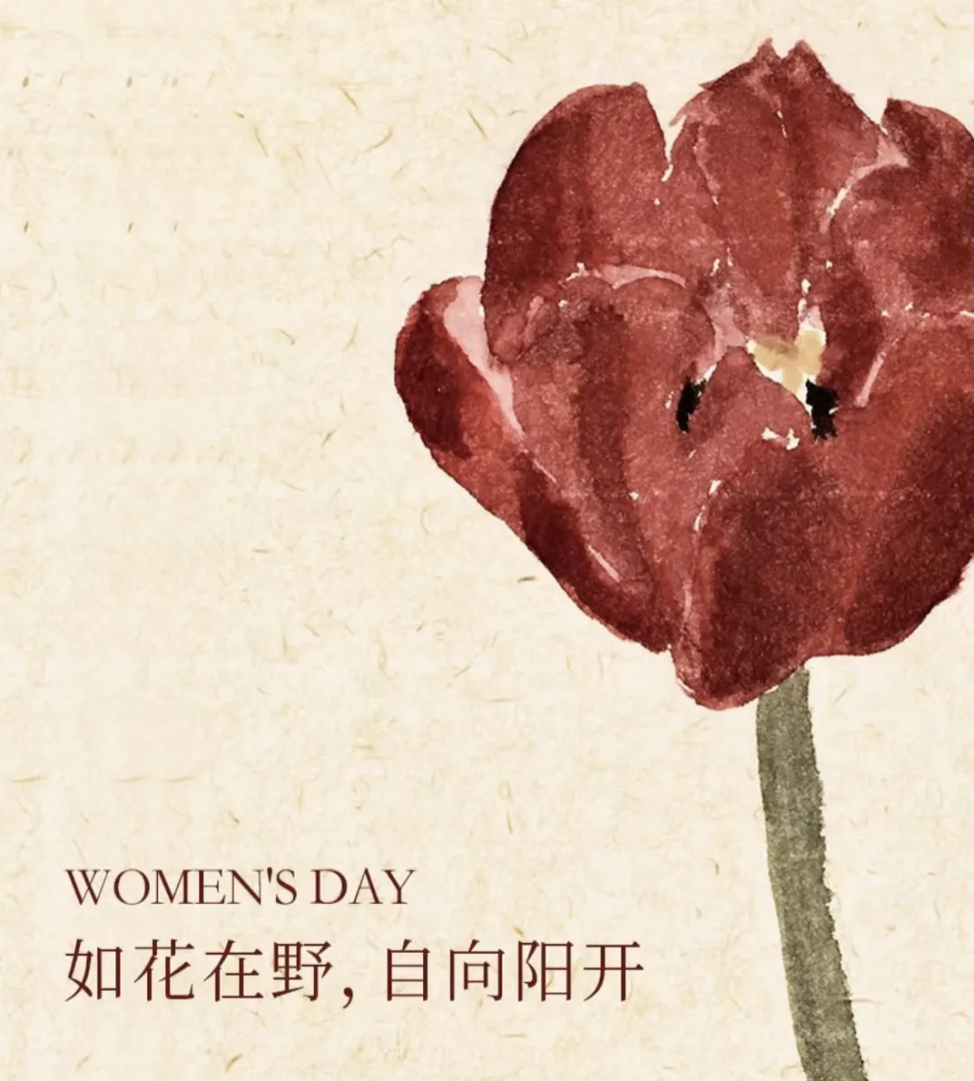 3·8女神節(jié)丨 南北特糕點(diǎn)，獻(xiàn)給每一位甜蜜女神