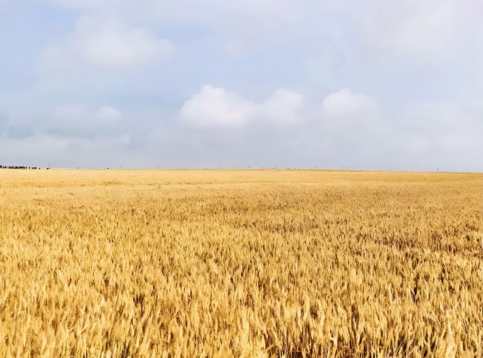 百年匠心守護(hù)｜衡陽南北特為您守護(hù)舌尖上的溫暖