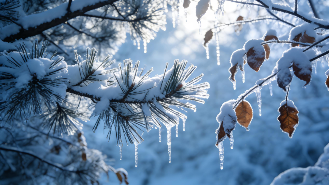 大雪至，年味漸濃，南北特食品香暖寒冬